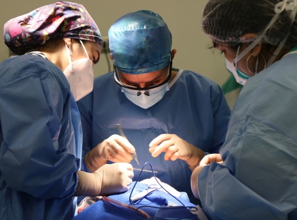 O Que os Cirurgiões Plásticos Gostariam Que Você Soubesse Antes de Agendar Sua Cirurgia